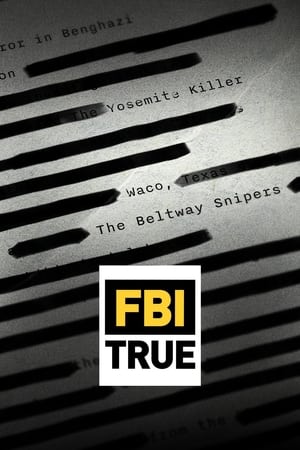 FBI True izle