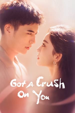 Got a Crush on You izle