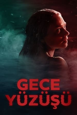 Gece Yüzüşü - Night Swim izle